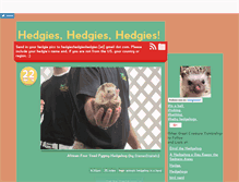 Tablet Screenshot of hedgieshedgieshedgies.tumblr.com