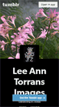 Mobile Screenshot of leeanntorrans.tumblr.com