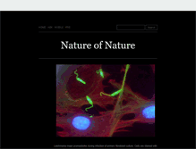 Tablet Screenshot of natureofnature.tumblr.com