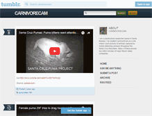 Tablet Screenshot of carnivorecam.tumblr.com