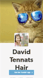 Mobile Screenshot of davidtennantshair.tumblr.com