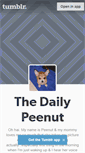 Mobile Screenshot of dailypeenut.tumblr.com