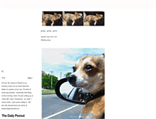 Tablet Screenshot of dailypeenut.tumblr.com