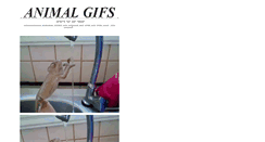 Desktop Screenshot of animalygifs.tumblr.com