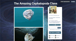 Desktop Screenshot of cephalopodlove.tumblr.com