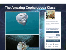 Tablet Screenshot of cephalopodlove.tumblr.com