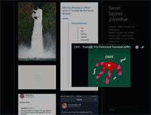 Tablet Screenshot of anmlhse-squirrel.tumblr.com