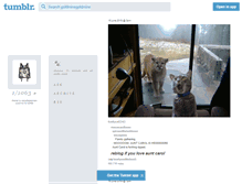 Tablet Screenshot of goldminegoldmine.tumblr.com