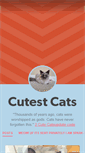 Mobile Screenshot of cutest-cats.tumblr.com