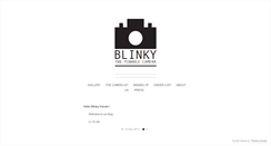 Desktop Screenshot of blinkythepinholecamera.tumblr.com
