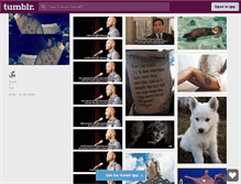 Tablet Screenshot of amandawhattt.tumblr.com
