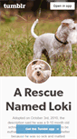 Mobile Screenshot of lokidog.tumblr.com