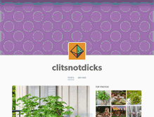 Tablet Screenshot of clitsnotdicks.tumblr.com