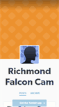 Mobile Screenshot of falconcam.tumblr.com