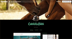 Desktop Screenshot of catch-me-bitch.tumblr.com