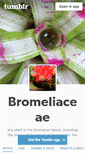 Mobile Screenshot of bromeliace.tumblr.com