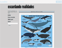 Tablet Screenshot of escardandorealidades.tumblr.com