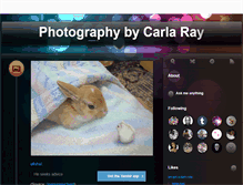 Tablet Screenshot of carlayraythompsonphotography.tumblr.com