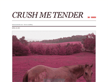 Tablet Screenshot of crushmetender.tumblr.com