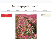 Tablet Screenshot of haruszpapa.tumblr.com