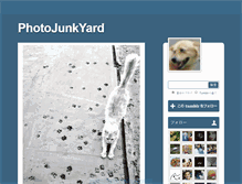 Tablet Screenshot of photojunkyard.tumblr.com