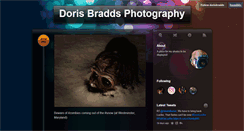 Desktop Screenshot of dorisbradds.tumblr.com
