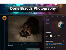 Tablet Screenshot of dorisbradds.tumblr.com
