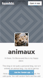 Mobile Screenshot of animals-animals-animals.tumblr.com