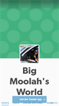 Mobile Screenshot of bigmoolah.tumblr.com