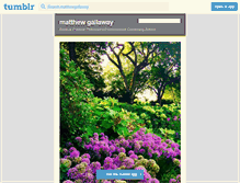 Tablet Screenshot of matthewgallaway.tumblr.com