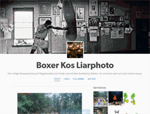 Tablet Screenshot of liarphoto.tumblr.com