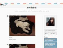 Tablet Screenshot of mulletini.tumblr.com