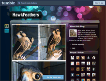 Tablet Screenshot of hawk-feathers.tumblr.com
