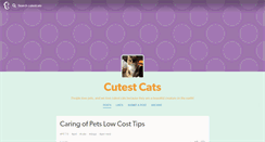 Desktop Screenshot of cutestcats.tumblr.com