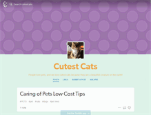 Tablet Screenshot of cutestcats.tumblr.com