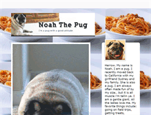 Tablet Screenshot of noahthepug.tumblr.com