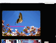 Tablet Screenshot of angiepixielove.tumblr.com