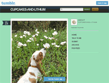 Tablet Screenshot of cupcakes-and-lithium.tumblr.com