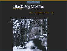 Tablet Screenshot of blackdogxtreme.tumblr.com