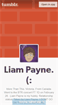 Mobile Screenshot of everythingpayne.tumblr.com