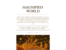 Tablet Screenshot of magnified-world.tumblr.com