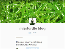 Tablet Screenshot of missturdle.tumblr.com