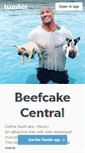 Mobile Screenshot of beefcakecentral.tumblr.com