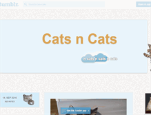 Tablet Screenshot of catsncats.tumblr.com