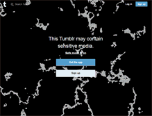 Tablet Screenshot of 1000dream.tumblr.com