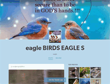 Tablet Screenshot of birdsbirdsbirds.tumblr.com