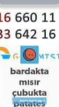 Mobile Screenshot of bardaktamisir.tumblr.com