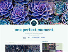 Tablet Screenshot of oneperfectmoment.tumblr.com