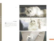 Tablet Screenshot of alinexjonas.tumblr.com