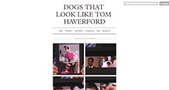 Desktop Screenshot of dogsthatlookliketomhaverford.tumblr.com